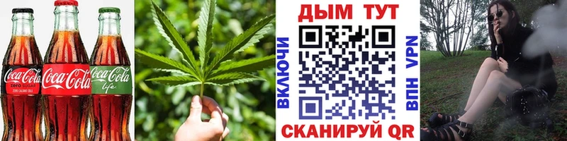 Canna-Cookies конопля  закладки  Шумиха 