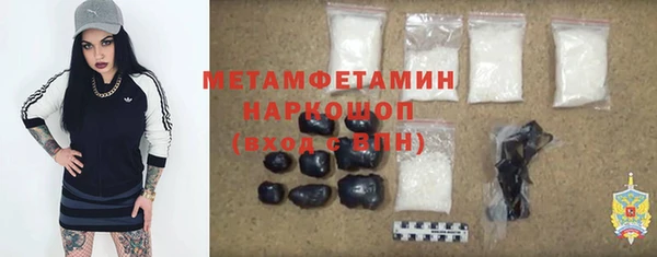 прущие грибы Сафоново