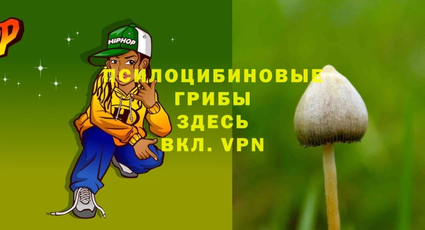 спиды Сатка