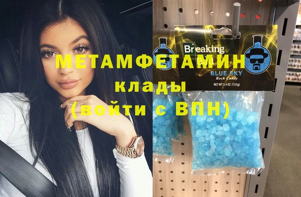 прущие грибы Сафоново