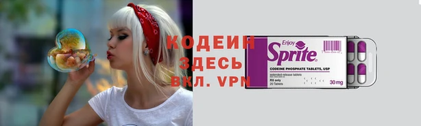прущие грибы Сафоново