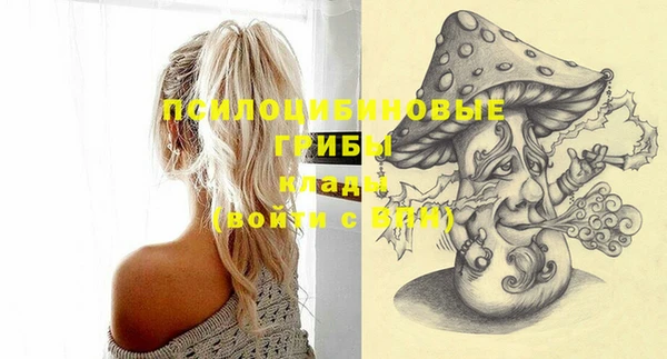 прущие грибы Сафоново