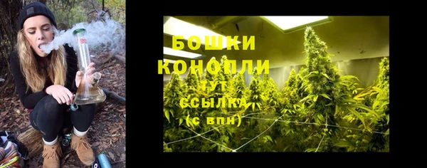 прущие грибы Сафоново