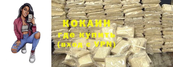 прущие грибы Сафоново