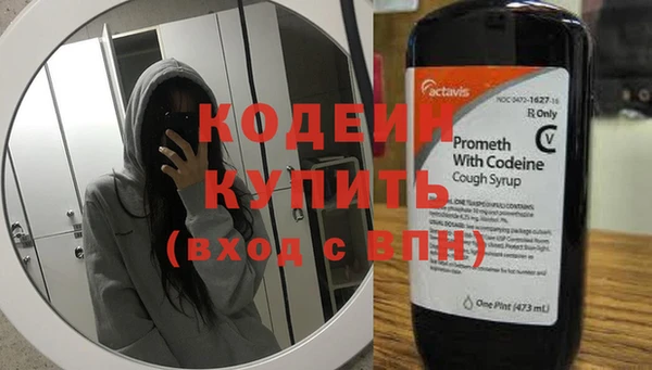 прущие грибы Сафоново