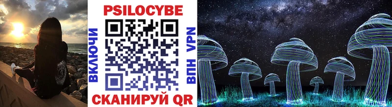Псилоцибиновые грибы Cubensis  Шумиха 